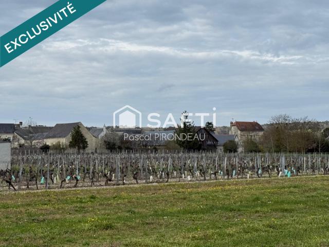 Bourgueil Vente Terrain 37