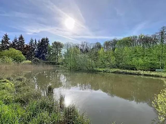Bourguignon sous Montbavin 02000 Achat / Vente terrain