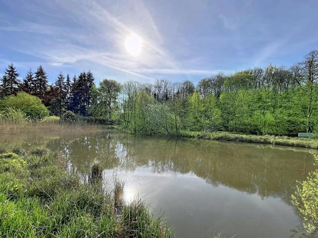 Bourguignon sous Montbavin Vente Terrain 02
