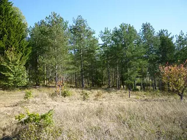 Bourlens 47370 Achat / Vente terrain