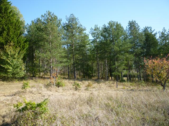 Bourlens Vente Terrain 47