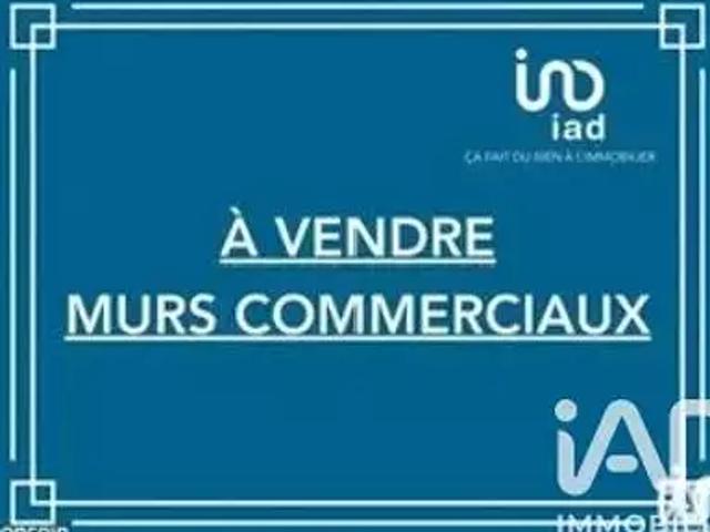 Bourseul 22130 Achat / Vente divers
