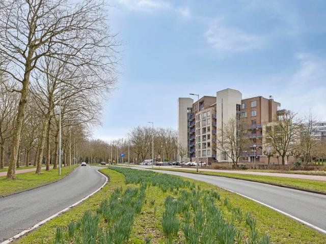 Bovenwoning appartement te huur in Amsterdam