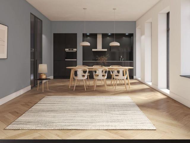 Bovenwoning appartement te huur in Den Haag