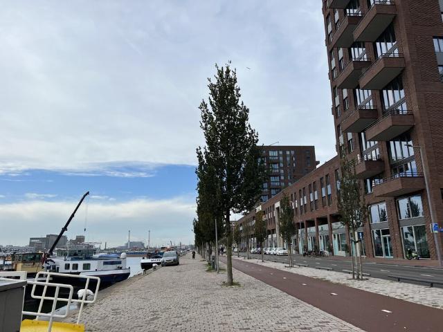 Bovenwoning appartement te huur in Rotterdam