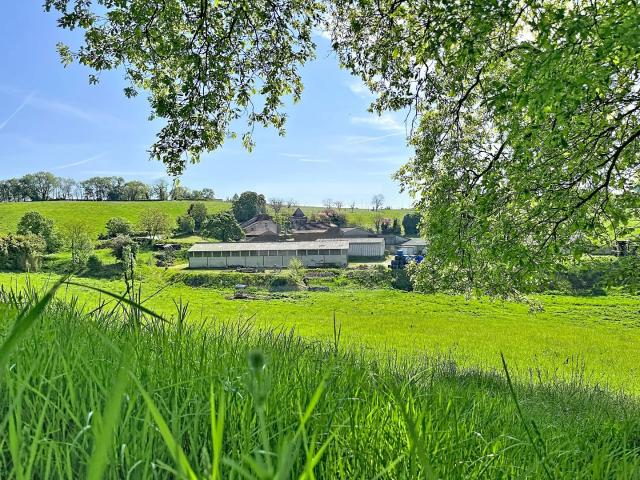 Bovine 163m² Figeac