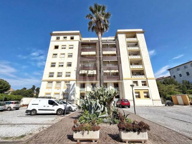 Box / Garage in affitto a Livorno LI