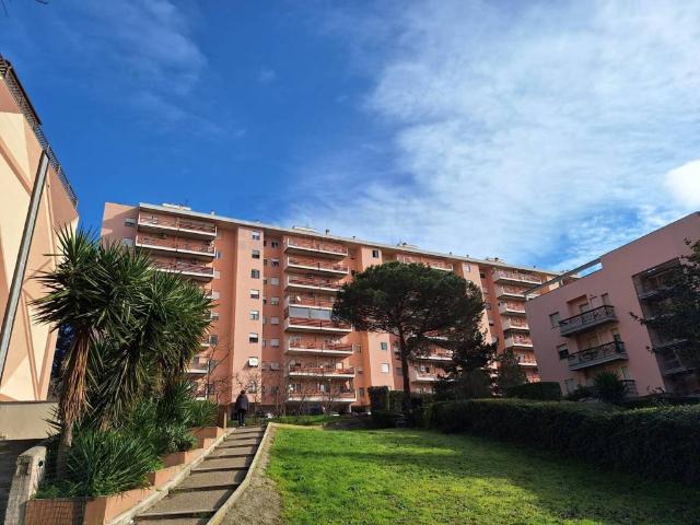 Box / Garage in vendita a Roma RM