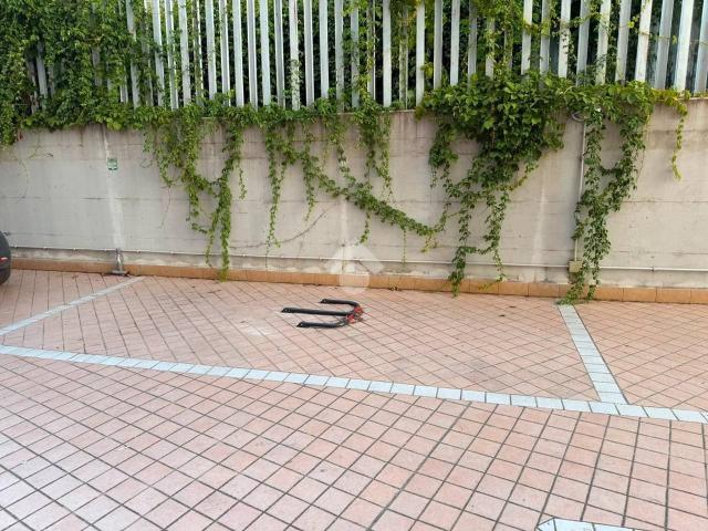 Box in affitto a Latina