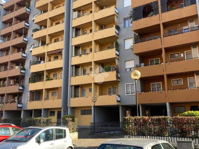 Box in affitto a Roma