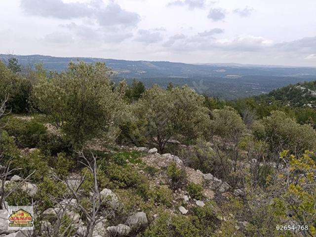 BOZAĞAÇ MAHALLESİNDE SATILIK 4086 M2 ARSA