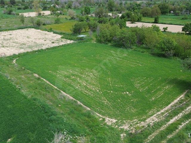 BOZOVA MAH.1766 m YOL CEPHELİ SULAMA VAR. SATILIK TARLA
