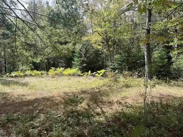 Block A Highway 325, West Clifford, NS, B4V 8J2 vacant land.