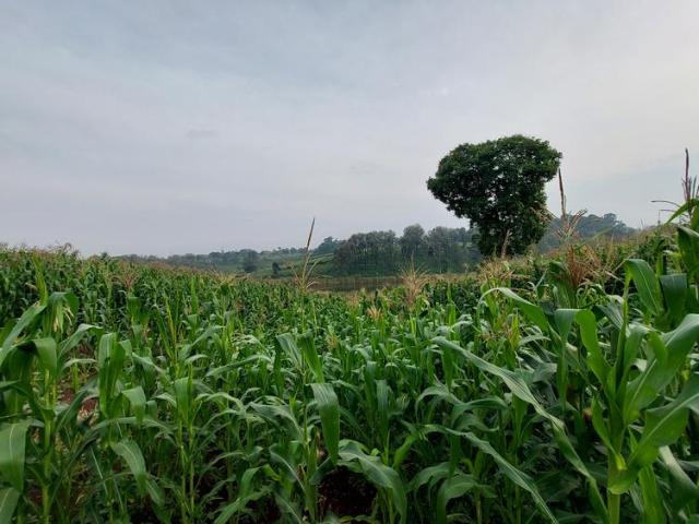 Block of 25 Acres Land for Sale in Kitisuru, close to International school of kenya Road Ideal for Development
