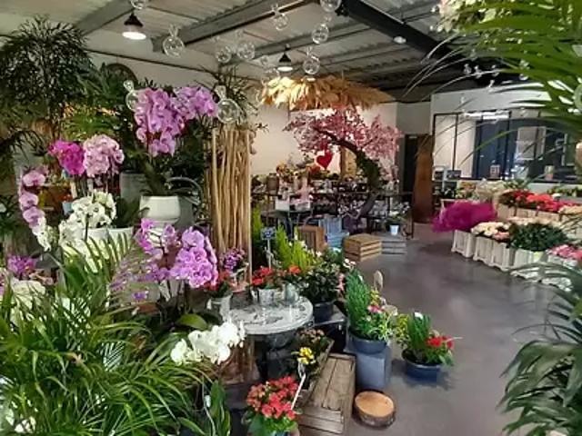 Blois 41000 Achat / Vente divers