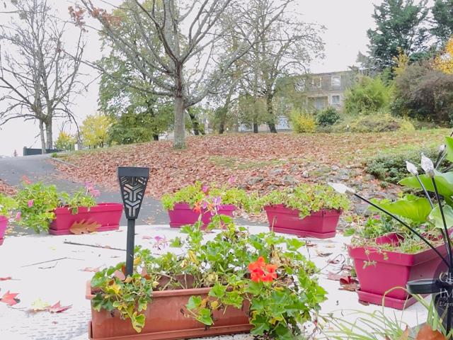 Blois Vente Appartement 41