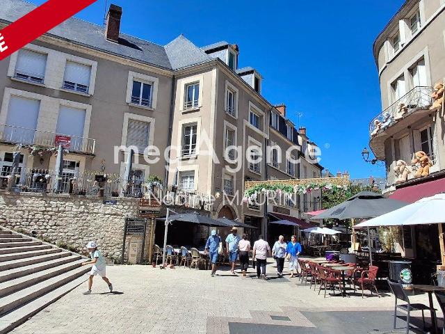 Blois Vente Appartement 41