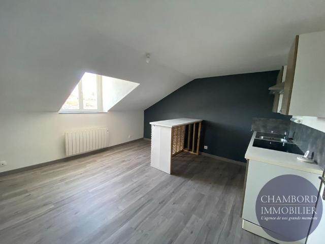 BLOIS Centre ville quartier Vienne T1 BIS