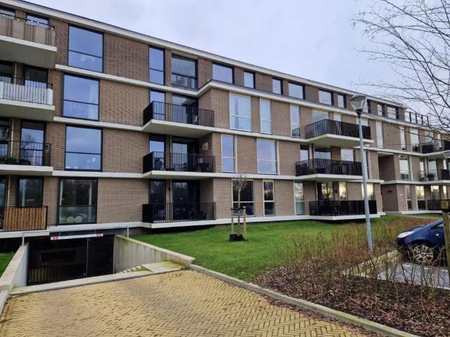 Blauwe Berg 15