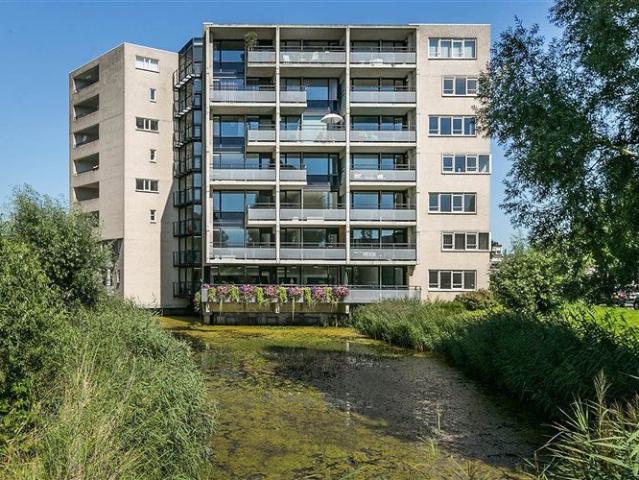 Blauwtjes 78 Breda