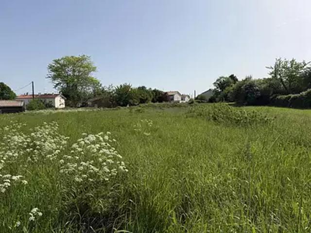 Blaye 33390 Achat / Vente terrain