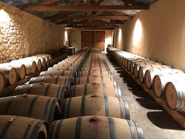 Blaye Vente Propriété/château 33