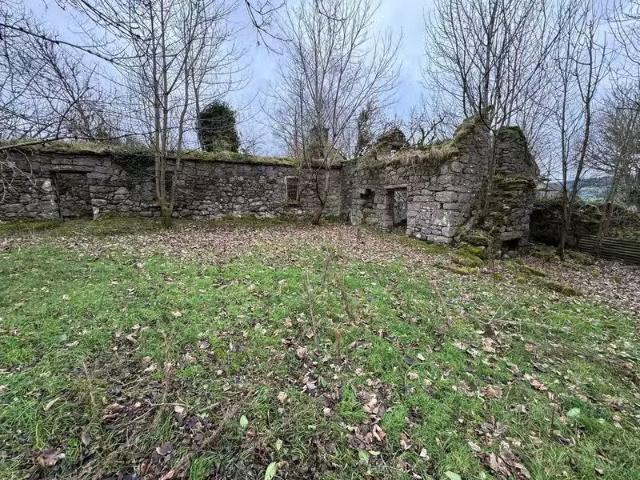 Blackditches Lower, Valleymount, Blessington, Co. Wicklow, W91.