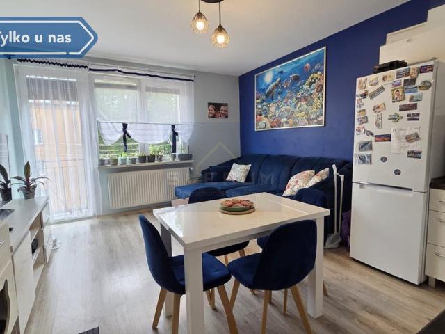 Blachownia, 48,01 m2