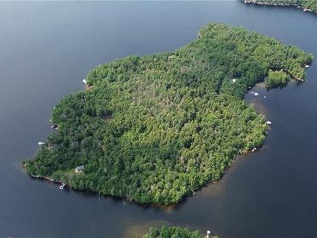 Blade Gold Lake Island, Trent Lakes, ON, K0L 1J0 vacant land for sale | Listing ID 40854 | Royal LePage