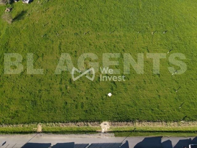 Blagny Vente Terrain 08