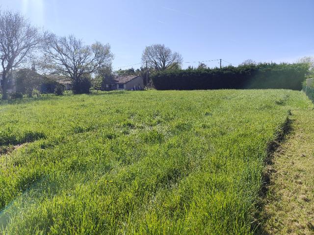Blaignan Vente Terrain 33