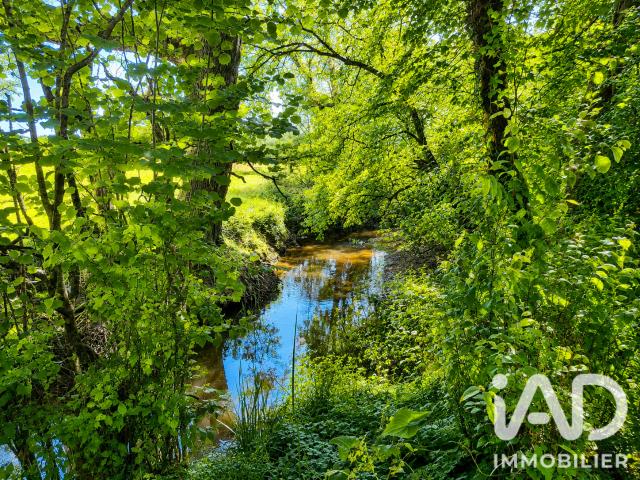 Blain Vente Terrain 44