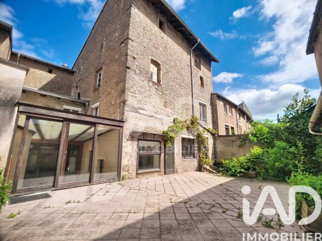Blâmont Vente Maison 54