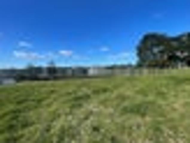 Blank Canvas / Views / Flexible Settlement Terms!