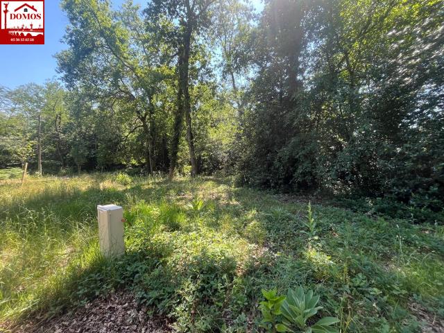 BLANQUEFORT Terrain à batir de 800 m2 viabilisé avec un emprise au sol de 173 m2