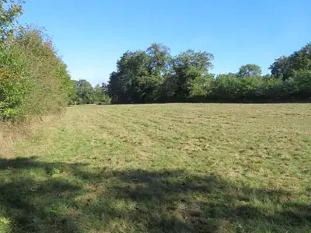 Blanzac 87300 Achat / Vente terrain