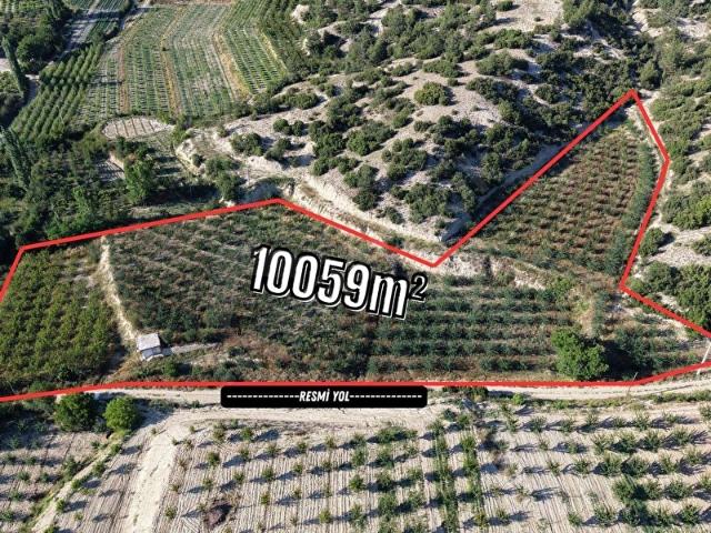BLC GAYRİMENKUL'DEN SÜLEKLER MAHALLESİNDE 10059m BAHÇE