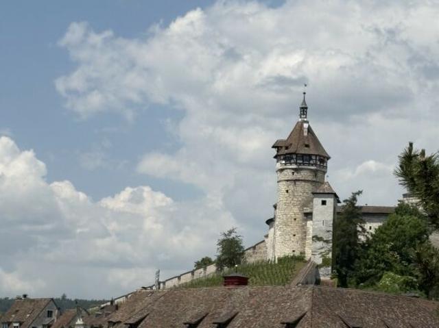 Blick auf Rhein, Schifflände und Munot
