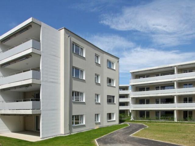 Blick ins Grüne