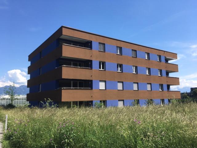Blick ins Grüne