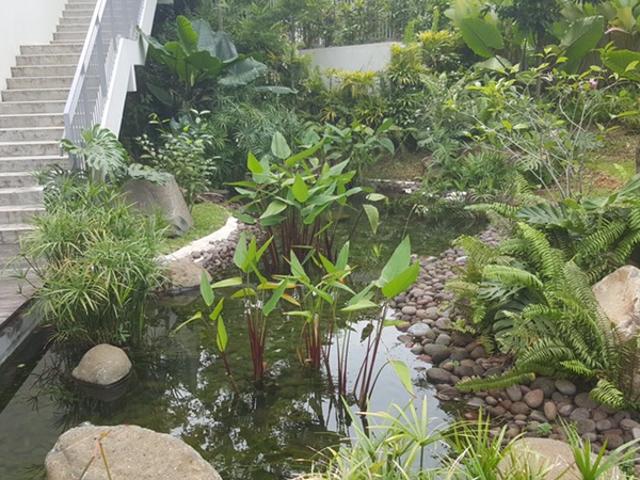 Bliss@Kovan Apartment For Rent, $4,700, 3 Bed 2 Bath 1,163 sqft $4.04 psf