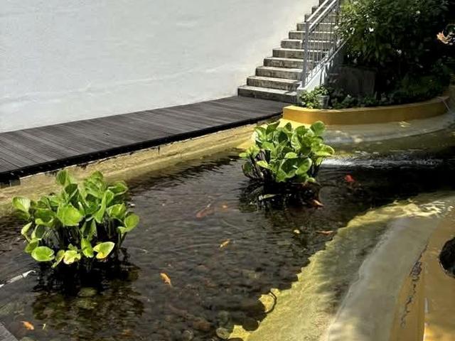 Bliss@kovan D19, Condominium