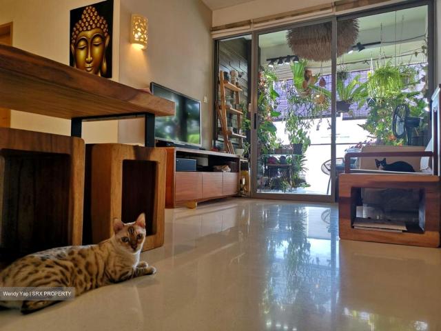 Bluwaters 2 D17, Condominium