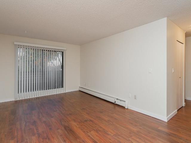 Blue Mountain Apartments 1 Bedroom Apartment for Rent at 517 Blue Mountain St, Coquitlam, BC V3J 4P8 Central Coquitlam