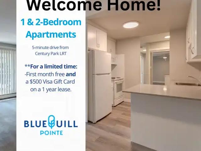 Blue Quill Pointe