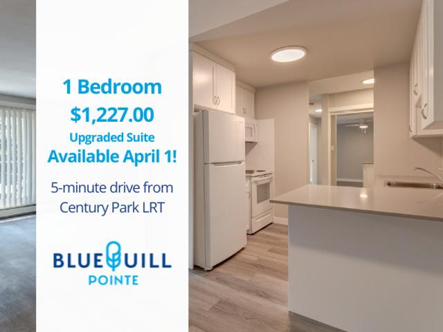 Blue Quill Pointe 1 Bedroom Upgraded Apartment for Rent