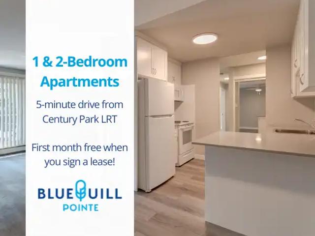 Blue Quill Pointe