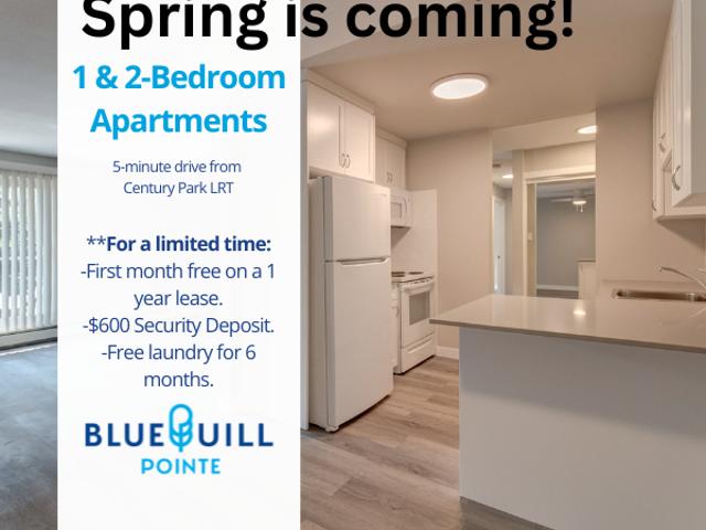Blue Quill Pointe Studio Apartment for Rent at 11615 28 Ave Nw, Edmonton, AB T6J 3Z8 Blue Quill