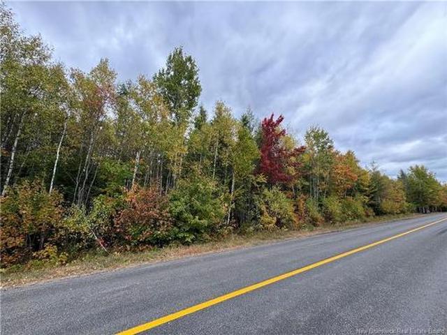 Blueberry Lane, Codys, NB, E4C 1E3 vacant land for sale | Listing ID NB143421 | Royal LePage