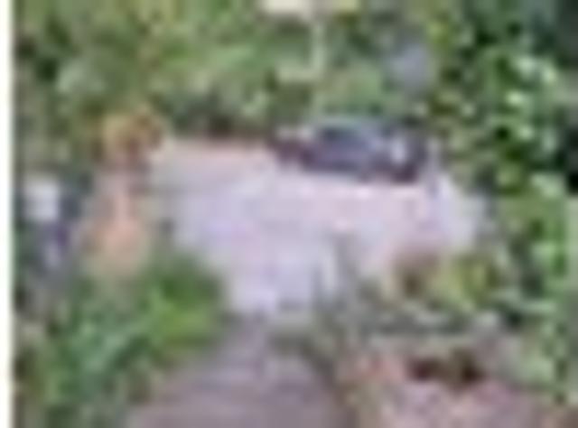 Bluff Hill, 5 bedrooms, $950 pw